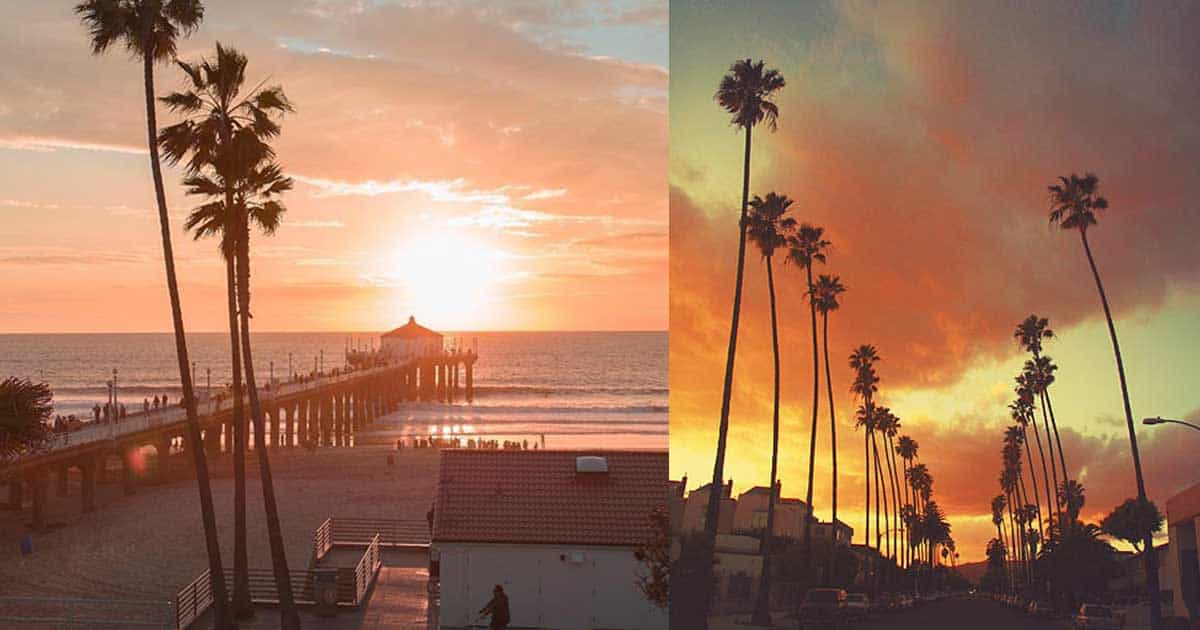 Best things to do in California. Check it Out! - Lobo Pop Art