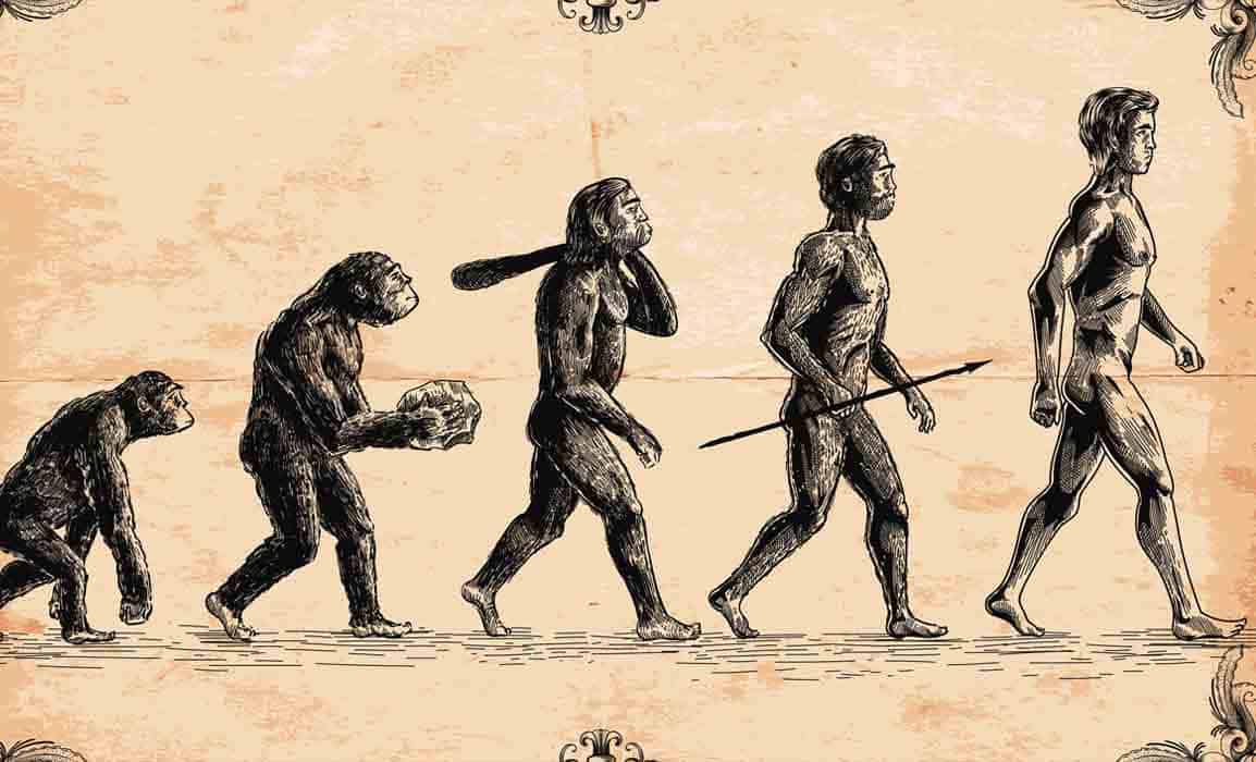 Pintura Evolução humana